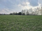 Działka z warunkami zabudowy - 16