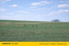 Bezczynszowe mieszkanie 55m2 w Granowie - 9