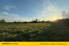 Działka inwestycyjna  Przygodzice, 5000m² - 8