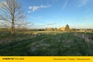 Działka inwestycyjna  Przygodzice, 5000m² - 16