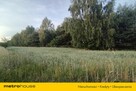 Lokal Komorowo - 8