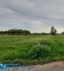 Pęcice Małe - zielona okolica - 1