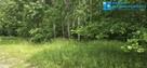 Działka z udziałem w prywatnym lesie! - 3