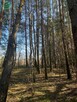 Działka budowlana Kanin  gm. Darłowo - 8