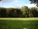 Działka budowlana przy lesie Warmia Mazury - 4
