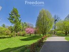 Top kawalerka z potencjałem! Park za rogiem - 4