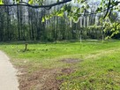 Prywatna oaza spokoju? Tak, działka tuż przy lesie - 6