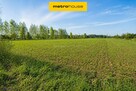 Sprzedam działkę 3900m2,Piaski k. Nieborowa, MPZP,