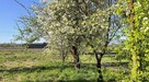 Dom inwestycyjny 2 mieszkania | 14 ar | 150 m2 | gm. Skawina - 15