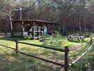 Sprzedam kompleks 12 działek leśnych o łącznej powierzchni 3 - 6