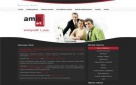 Tworzenie stron internetowych, pozycjonowanie - 5