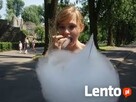 Dmuchany zamek, zjeżdżalnia, wata cukrowa, popcorn, animatorzy - 7