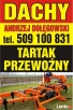 Dachy/Tartak mobilny z hydrauliką/Sprzedaż drewna - 2