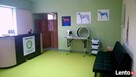 Rehabilitacja psów i kotów Rzeszów - 1