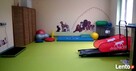 Rehabilitacja psów i kotów Rzeszów - 2