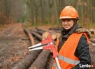 WYCINKA DRZEW, SAMOSIEJEK I ZAROŚLI. KARCZOWANIE - PIASECZNO - 2