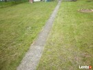 Koszenie traw, karczowanie zarośli, wycinka drzew - 4