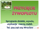 Sprzątanie ogrodu, ogrodnik Wrocław, cena tel 504-746-203 - 5