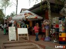 Sielpia domek letniskowy 50 m od jeziora w lesie sosnowym - 2