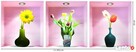 Naklejki ścienne na ścianę Kwiaty 3D Wazon Wazony WS-0188 - 2