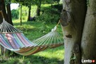 Domek letniskowy na Mazurach wczasy mazury wypoczynek urlop - 3