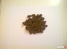 LECKER PREMIUM Wołowina z ryżem 30 kg PROMOCJA - 2