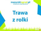 Trawa z rolki Ełk Olecko Pisz Augustów - 2