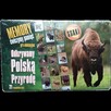 Gra edukacyjna MEMO poznajemy zwierzęta ''Ssaki'' - 2