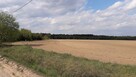 Działeczka pod lasem - 3