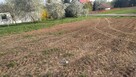 Działka budowlana 10a Ciecierzyn - 6