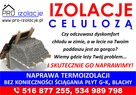 Zwalczanie kuny domowej Naprawa izolacji po kunach celuloza - 2