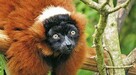 Madagaskar - Kraina wodospadów i lemurów - 4