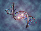 Biologia: korepetycje - 4