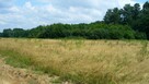 DZIAŁKA BUDOWLANA 1768 m2 W RĄBIENIU ul. Ogórkowa - 2