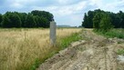 DZIAŁKA BUDOWLANA 1768 m2 W RĄBIENIU ul. Ogórkowa - 5