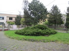 Skoczów - dom w centrum miasta. - 5