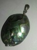 wisior wisiorek muszla abalone srebro 925 - 7