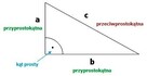 Korepetycje z Matematyki i Fizyki - Cała Gdynia- 24 godz - 2