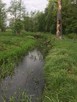 DZIAŁKA REKREACYJNA 2600 m2 malowniczo położona - 6