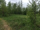 DZIAŁKA REKREACYJNA 2600 m2 malowniczo położona - 4