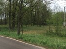 DZIAŁKA REKREACYJNA 2600 m2 malowniczo położona - 5