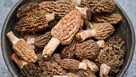 Świeże grzyby Smardz jadalny (Morchella) 500 g. - 1