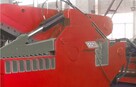 ALIGATOR L250 hydrauliczne nożyce do złomu - 3