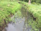 DZIAŁKA REKREACYJNA 2600 m2 malowniczo położona - 3