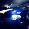 FORD MUSTANG 3.7 - Do ślubu • studniówki • sesje • KOSZULKI - 8