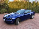 FORD MUSTANG 3.7 - Do ślubu • studniówki • sesje • KOSZULKI - 6