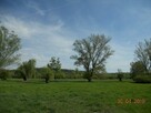 Działka Wojszyn gm. Janowiec - 2