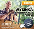 ARBOR 601 586 913 Pielęgnacja i Wycinka drzew Wrocław. - 3