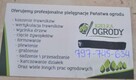 Oferuje usługi ogrodnicze najtaniej na rynku!!! - 2