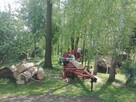 Tartak mobilny- usługowe cięcie drewna u Klienta - 5